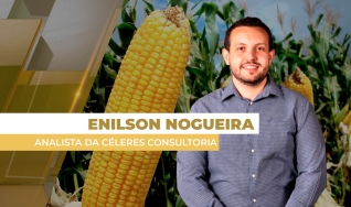 Enilson Nogueira - Analista da Céleres Consultoria
