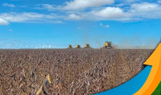 Vicente Godinho - Engenheiro Agrônomo e Membro da Aprosoja Rondônia