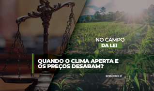 Letícia Moura, advogada da banca @joaodomingosadvogados