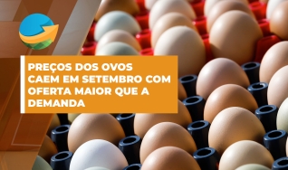 Cláudia Scarpelin - pesquisadora do Cepea