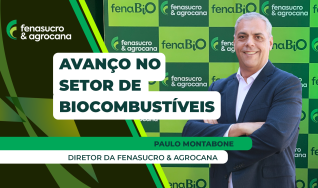 Paulo Montabone - Diretor da Fenasucro & Agrocana