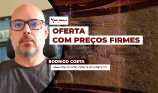 Rodrigo Costa - Analista de Inteligência de Mercado