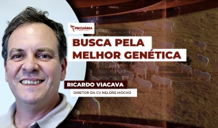 Ricardo Viacava - Diretor da CV Nelore Mocho