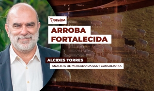Alcides Torres - Analista de Mercado da Scot Consultoria