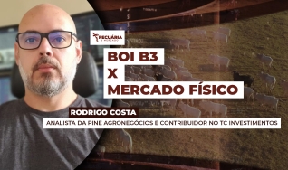 Rodrigo Costa - Analista da PINE Agronegócios e Contribuidor no TC Investimentos