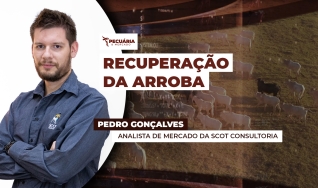 Pedro Gonçalves - Analista de Mercado da Scot Consultoria