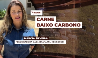 Márcia Silveira - Pesquisadora da Embrapa Milho e Sorgo