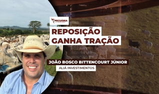 João Bosco Bittencourt Júnior - Aliá Investimentos