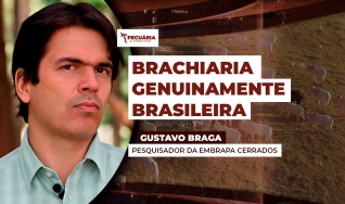 Gustavo Braga - Pesquisador da Embrapa Cerrados