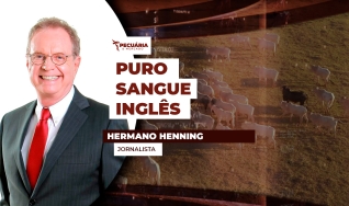 Hermano Henning - Jornalista