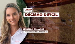 Isabella Camargo - Zootecnista e analista da HN Agro