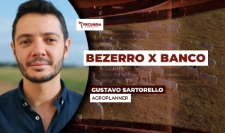 Gustavo Sartorello - Agroplanner