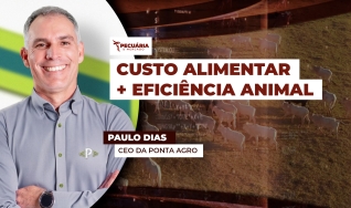 Paulo Dias - CEO da Ponta Agro