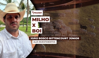 João Bosco Bittencourt Júnior - Aliá Investimentos