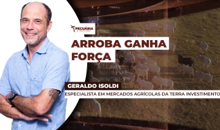 Geraldo Isoldi - Especialista em Mercados Agrícolas da Terra Investimentos