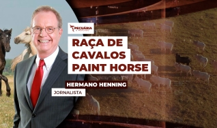 Hermano Henning - Jornalista