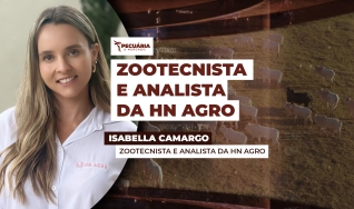 Isabella Camargo - Zootecnista e analista da HN Agro