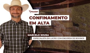 Marcelo Sousa - Especialista em lucro com engorda de bovinos