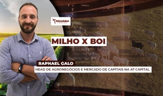 Raphael Galo - Head de Agronegócios e Mercado de Capitais na A7 Capital