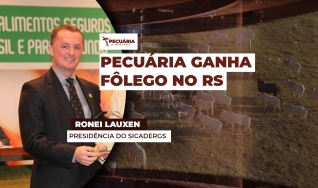 Ronei Lauxen - Presidência do Sicadergs