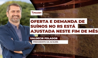 Valdecir Folador - Presidente da ACSURS