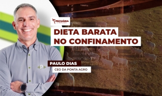 Paulo Dias - CEO da Ponta Agro