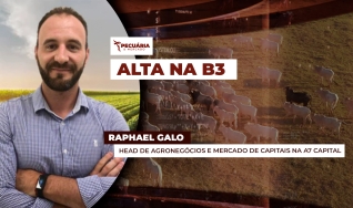 Raphael Galo - Head de Agronegócios e Mercado de Capitais na A7 Capital