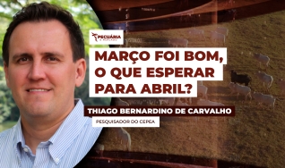 Thiago Bernardino de Carvalho - Pesquisador do Cepea