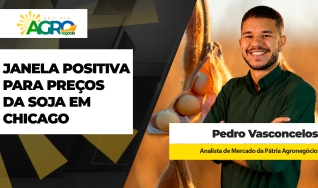 Pedro Vasconcelos - Analista de Mercado da Pátria Agronegócios