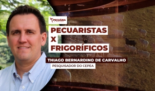 Thiago Bernardino de Carvalho - Pesquisador do Cepea