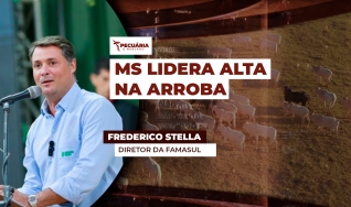 Frederico Stella - Diretor da Famasul