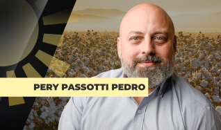 Pery Passotti Pedro - Consultor Independente