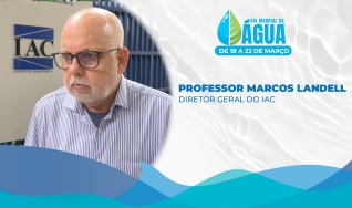Marcos Landell