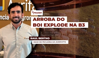 Raul Bertho - Head de Pecuária da Agrifatto