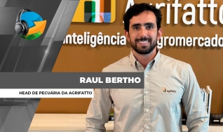 Raul Bertho - Head de Pecuária da Agrifatto