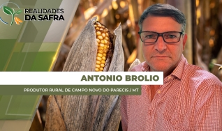 Antonio Brolio - Produtor Rural de Campo Novo do Parecis / MT
