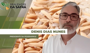 Denis Dias Nunes - Presidente da Federarroz