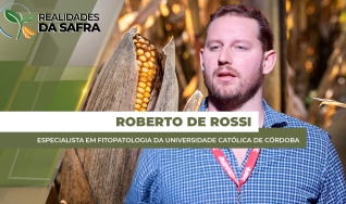 Roberto de Rossi - Especialista em Fitopatologia da Universidade Católica de Córdoba