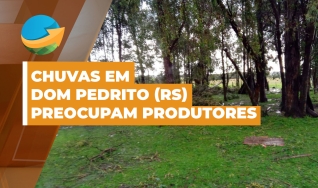 José Roberto Weber - Presidente do Sind. Rural de Dom Pedrito/RS