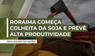 Murilo Ferrari - Presidente da Aprosoja-RR
