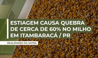 Mário Teixeira Marinho Neto - Produtor Rural na Região de Itambaracá/PR