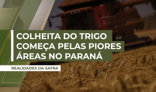 Carlos Hugo Godinho - Engenheiro Agrônomo do Deral