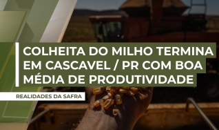 Modesto Félix - Vice-Presidente do Sindicato Rural de Cascavel/PR
