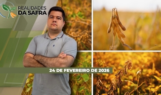 Realidades da Safra - Notícias Agrícolas