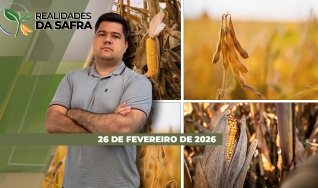 Realidades da Safra - Notícias Agrícolas