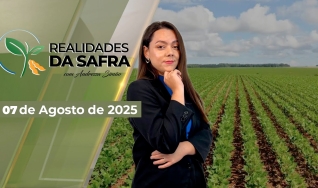 Realidades da Safra - Notícias Agrícolas