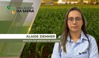 Alaide Ziemmer - Analista de Mercado da Agrural