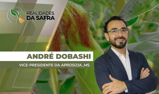 André Dobashi - Vice-Presidente da Aprosoja/MS