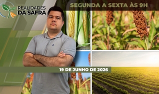 Realidades da Safra - Notícias Agrícolas