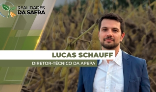 Lucas Schauff - Diretor-Técnico da APEPA